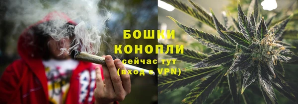 PSILOCYBIN Гусь-Хрустальный