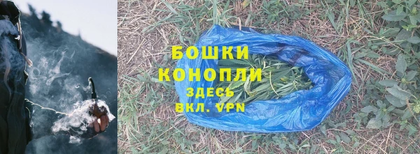 PSILOCYBIN Гусь-Хрустальный