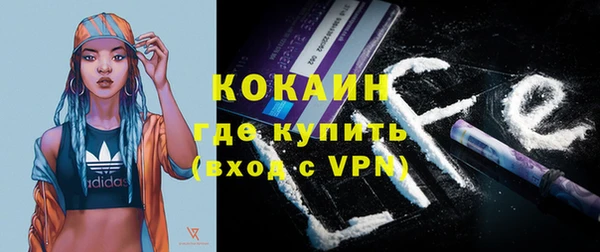прущие грибы Заволжье