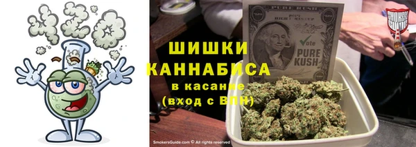 PSILOCYBIN Гусь-Хрустальный