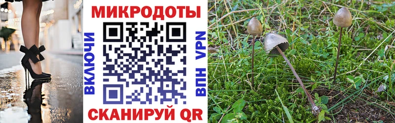 наркота  Завитинск  Галлюциногенные грибы мухоморы 